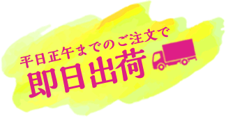 平日正午までのご注文で即日出荷