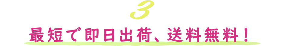 最短で即日出荷、送料無料！